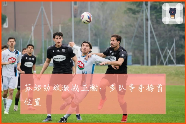 苏超劲旅激战正酣，多队争夺榜首位置